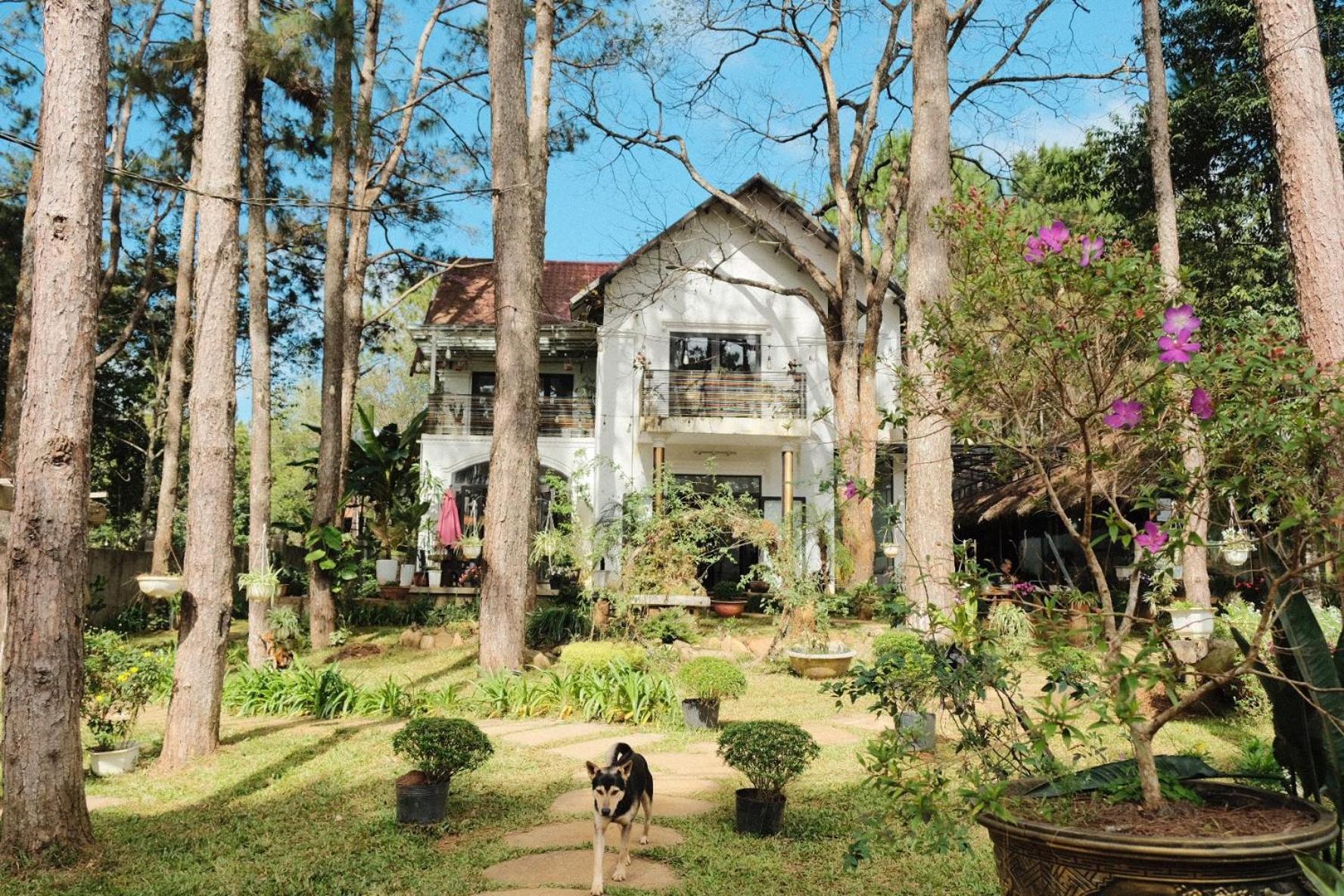 S'Nghe Homestay Mang Den Kon Von Kla Dış mekan fotoğraf