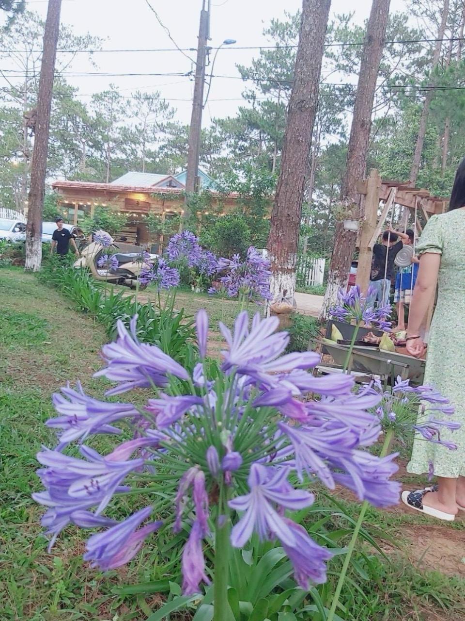 S'Nghe Homestay Mang Den Kon Von Kla Dış mekan fotoğraf