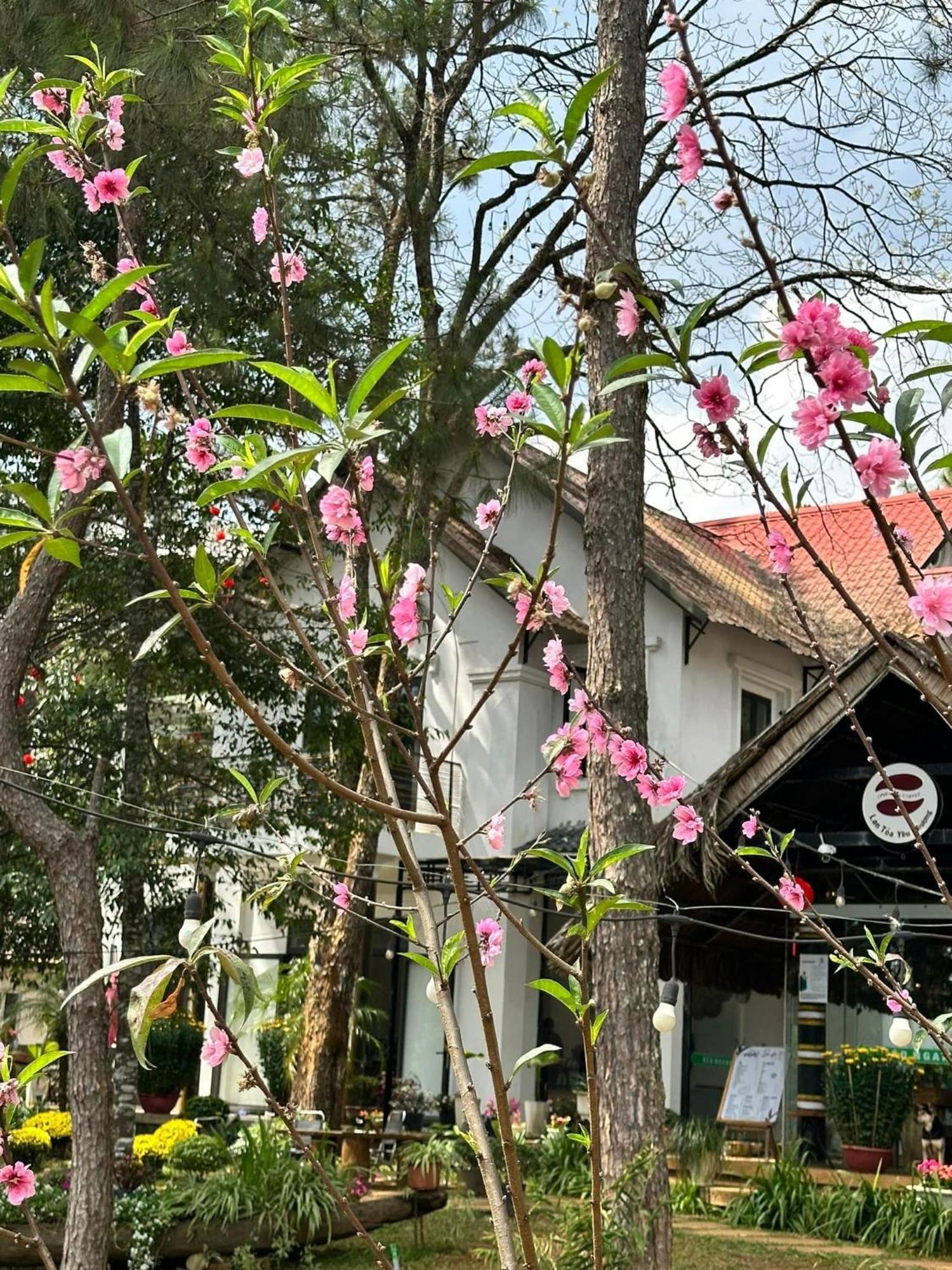 S'Nghe Homestay Mang Den Kon Von Kla Dış mekan fotoğraf