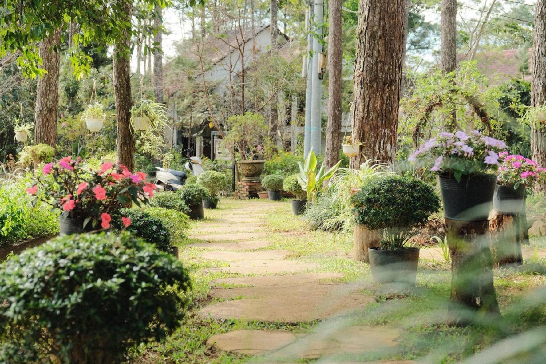 S'Nghe Homestay Mang Den Kon Von Kla Dış mekan fotoğraf