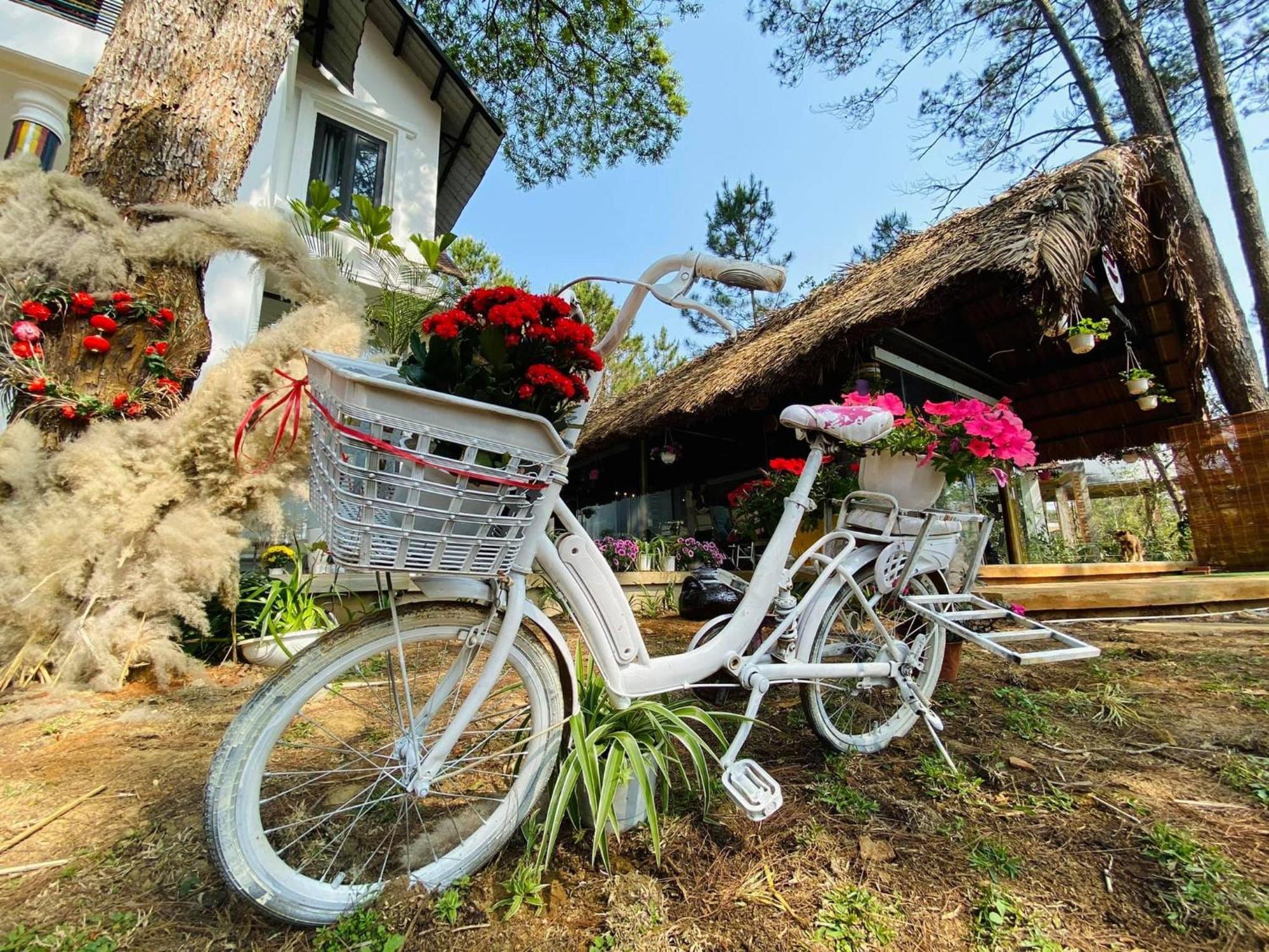 S'Nghe Homestay Mang Den Kon Von Kla Dış mekan fotoğraf